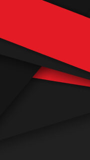 Red & Black Vector