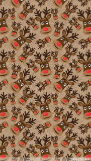 Rein Deer Wallpapers Free Download For Your Device