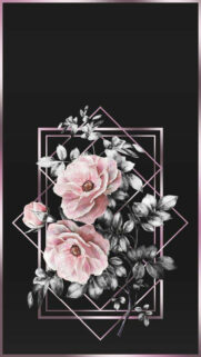 Rose & Black 4K Free Wallpapers Now Download