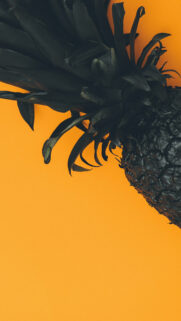 Samsung Stock Wallpapers Free Download- Samsung Wallpaper