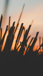 Sunset Nature Wallpapers Free Download