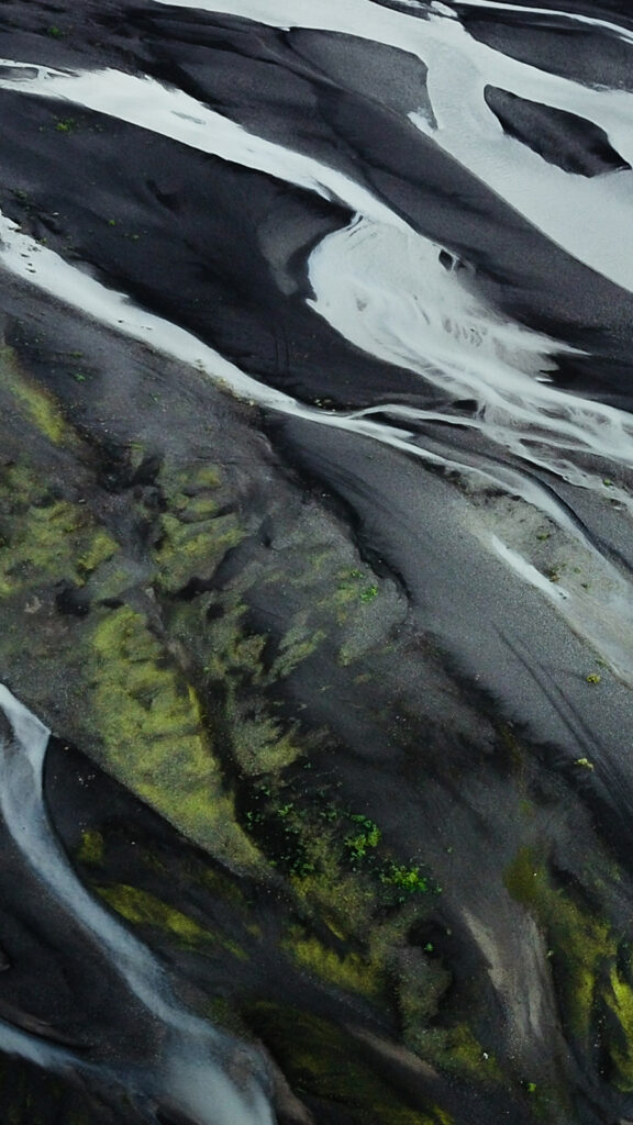 Previous