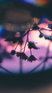 Vivo Phone HD Wallpapers Free Download