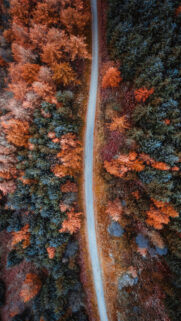 Wallpapers For 4K Download For Mobile