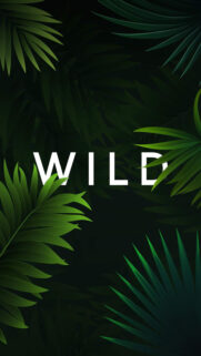 Wild Nature HD Wallpapers Free Download for Phone & Desktop