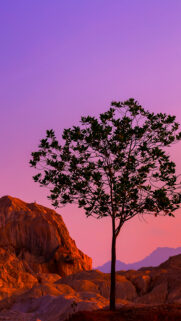 ZTE Full HD Wallpapers Free Download