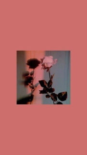 Best Tumblr Wallpapers Free Download