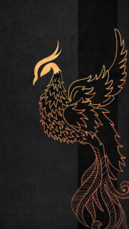 Bird Texture Wallpapers Download