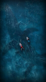 Blue Sea Wallpapers Free Download