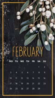Calendar Wallpapers For Apple Device