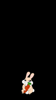 Cute Rabbit Wallpapers Free Download
