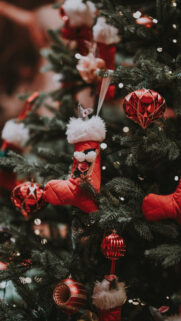 Full HD Holiday Wallpapers Download