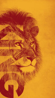 King Full HD Wallpapers Free Download