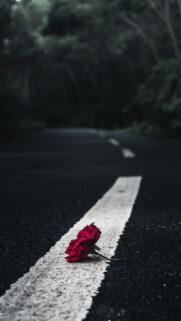 Road Full HD Wallpapers Free Download