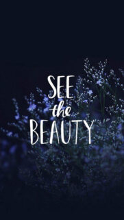 Sea the Beauty Wallpapers Download