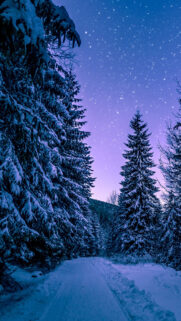 Snow, Winter Full HD Wallpapers Free Download