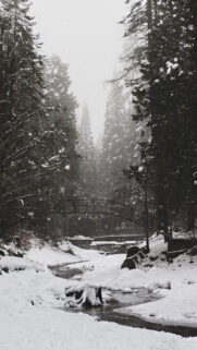 Snow, Winter Phone Wallpapers Free Download