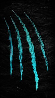 Wallpapers for Black Background