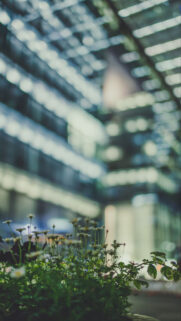 iPhone Series