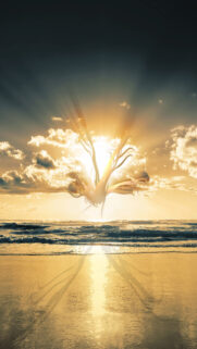 Abstract Shape In The Clouds HD Wallpapers Free Download
