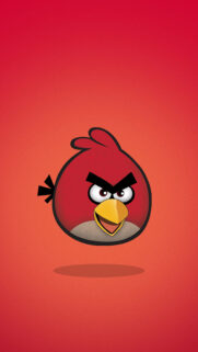 Angry Birds Red HD Wallpapers Free Download