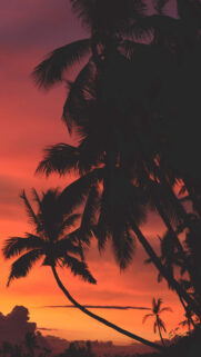 Awesome Red Sunset Full HD Wallpapers Free Download
