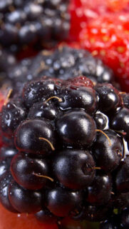Berries Closeup Full HD Wallpapers Download