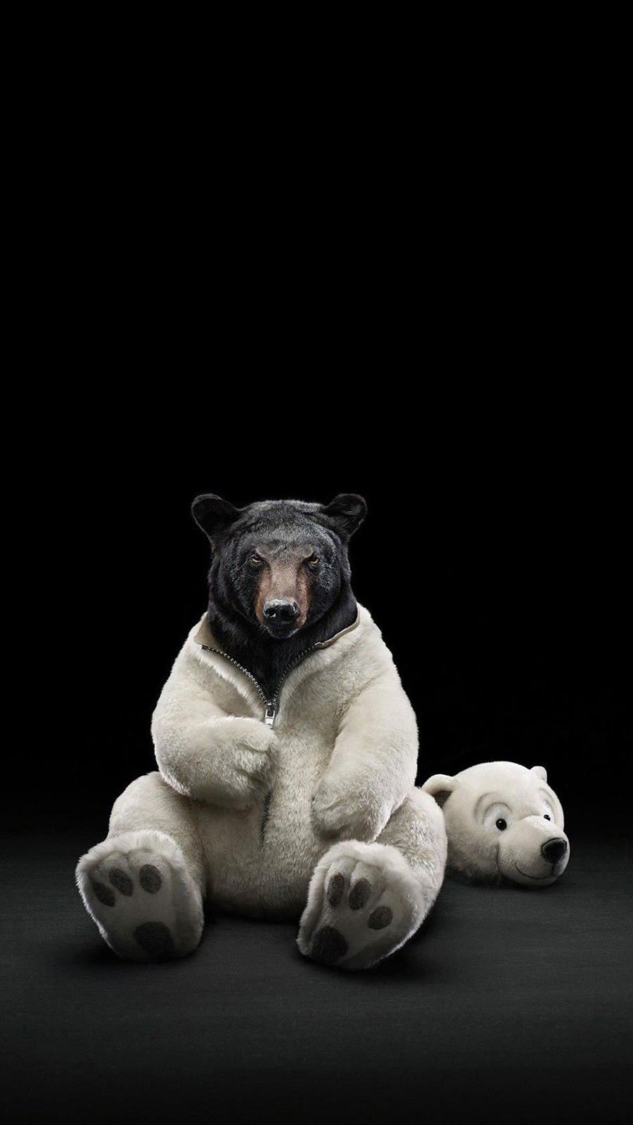 Black Bear Polar Full HD Wallpapers Download