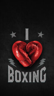 Boxing HD Wallpapers Free Download