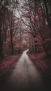 Fantastic Nature Wallpapers Free Download
