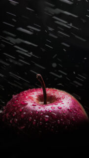 Nokia Phone Wallpapers Free Download