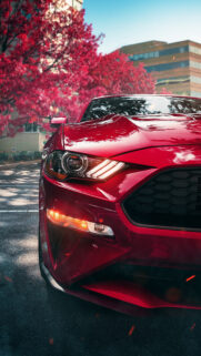 Red Ford Mustang HD Wallpapers Free Download