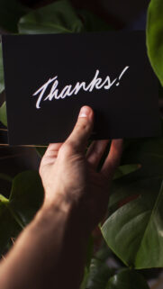 Wallpaper – All Time Best Wallpapers Free Download