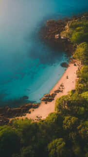 4K Aesthetic Nature Wallpapers Download