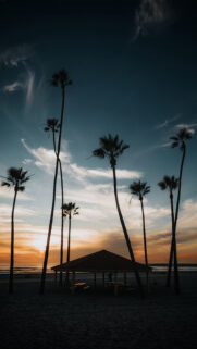4K Full HD Wallpapers For Android