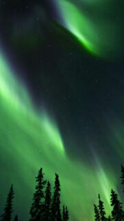 4K Full HD Wallpapers For İPhone