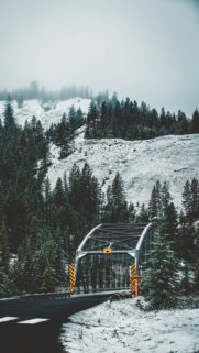 4K Tree, Mountain, Winter Wallpapers Free Download