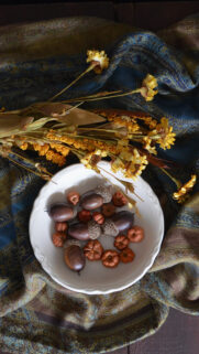 Acorns Plate Flowers Cloth Wallpapers Free Download