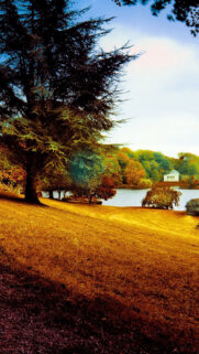 Beautiful Park Wallpapers Free Download