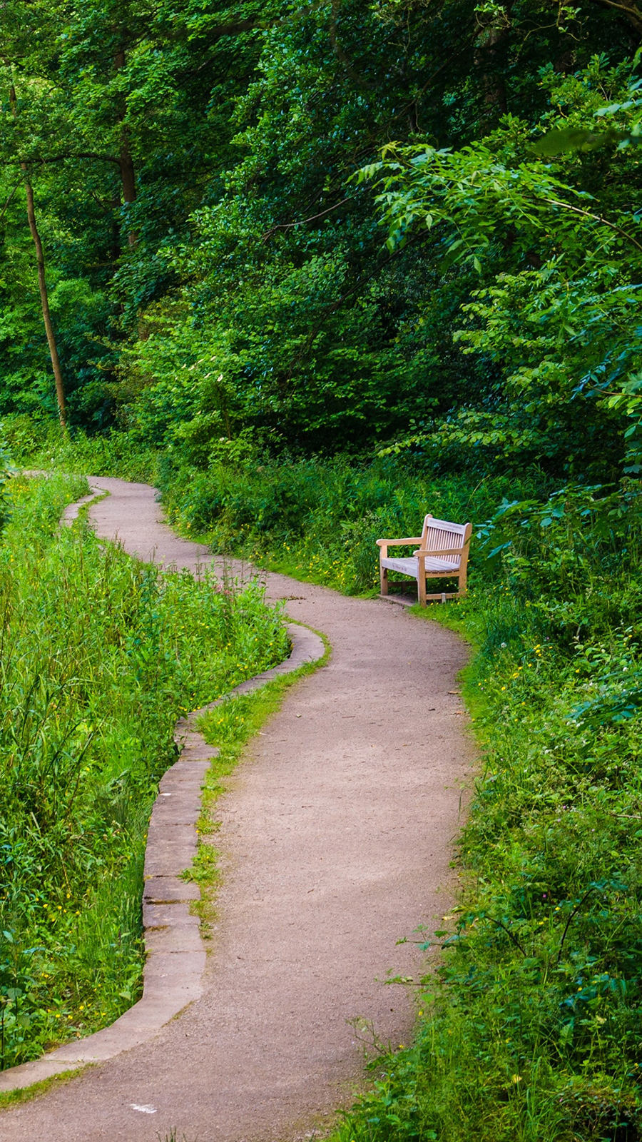 Bench Trees Trail Wallpapers Free Download