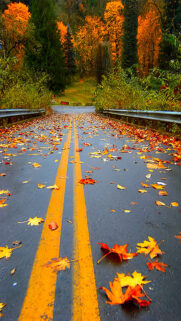 Best Wallpapers about Road for Phone