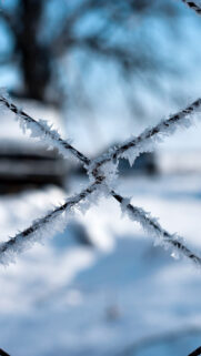 Best Winter Themed Wallpapers Free Download