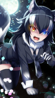 Cat Anime Girl Wallpapers Download