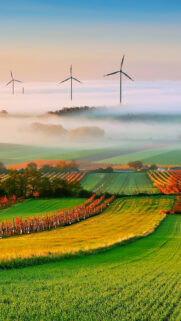 Field Free Wallpapers Download