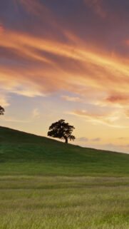 Landscape Sunset HD Wallpapers Download