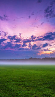 Morning Full HD Wallpapers Download