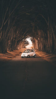 Most Downloaded Wallpapers In The Past 1 Week