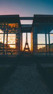 Most Downloaded Wallpapers of Recent Times