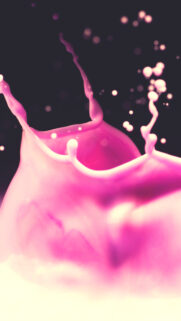 Pink Milk Drop HD Wallpapers Free Download