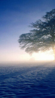Plandscapes, Nature Winter, Snow HD Wallpapers Download